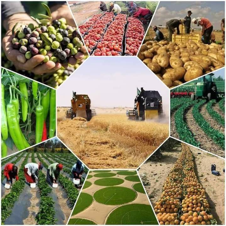 Agriculture Insurance