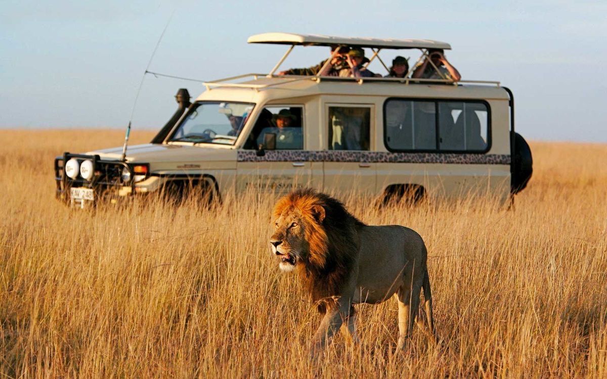 Travel Insurance